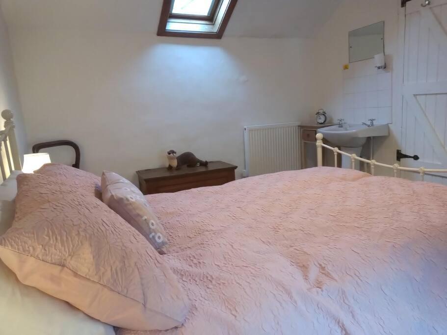 Ty Hen - Quirky Grade II Listed Cottage بلايناو-فيستينيوج المظهر الخارجي الصورة